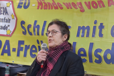 Johanna Weichselbaumer, Solidarwerkstatt Österreich