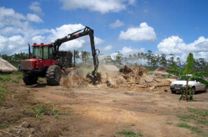 Zerstörung einer Hütte bei der Landnahme