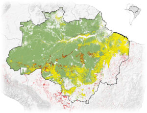 Gelb: Abholzung 2018; Rot: Feuer 2019